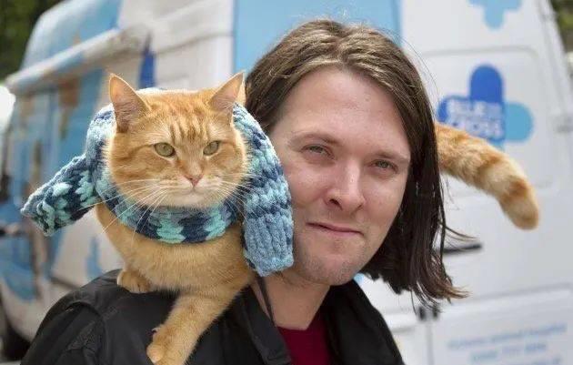 那只温暖无数人的流浪猫鲍勃去世了