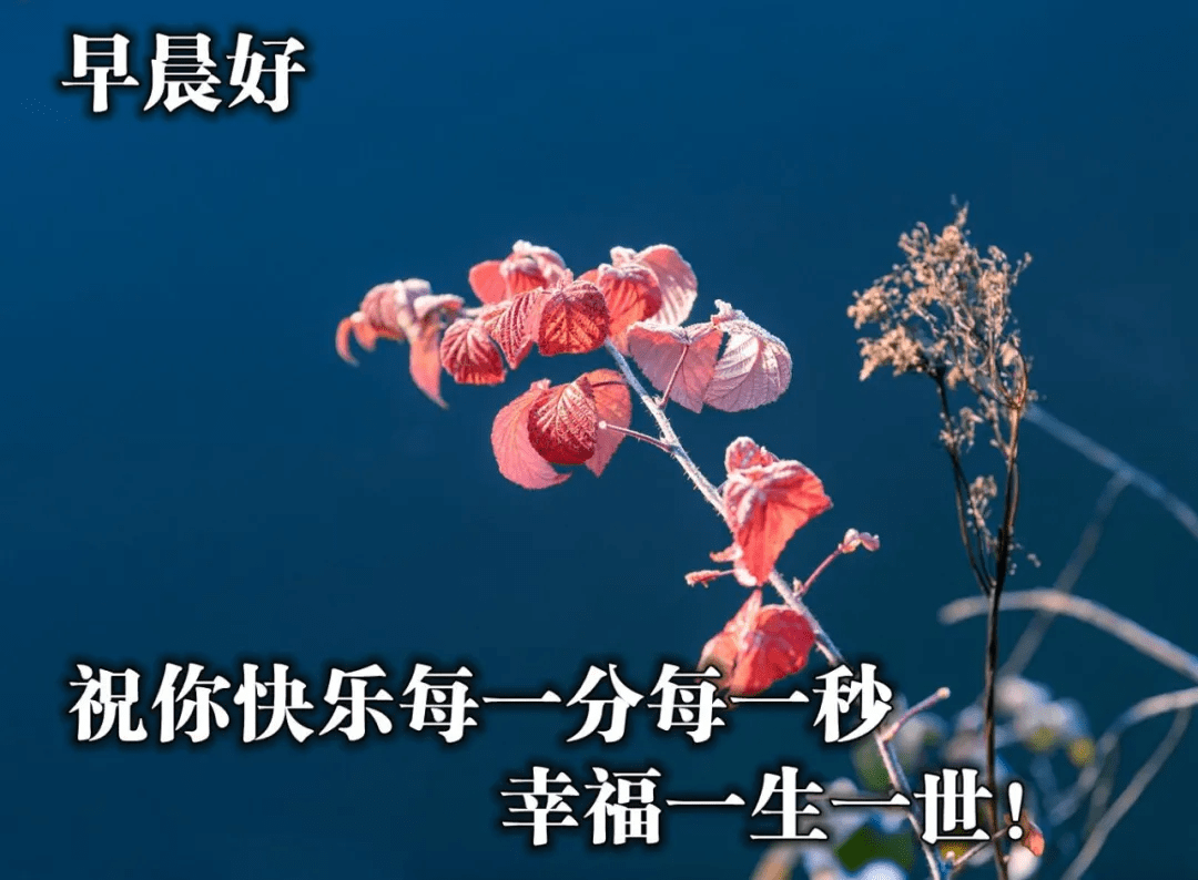 原创唯美暖心早安动态祝福图片满满祝福的早安心语祝福美图