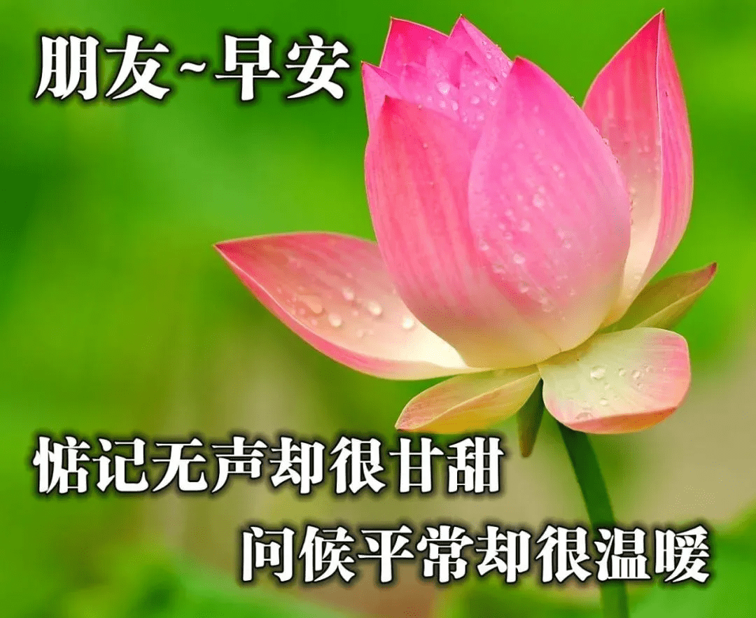 美丽动人的早安祝福问候图片,最温暖励志的早安祝福语