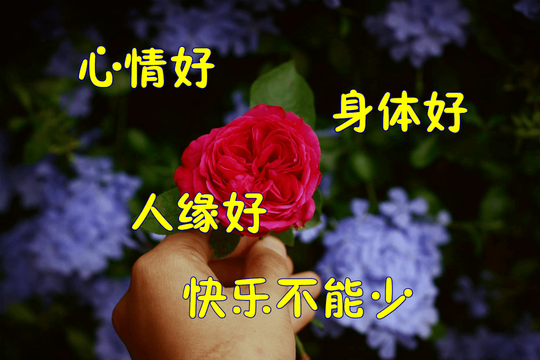 朋友圈温馨祝福词句,精选带字祝福图片