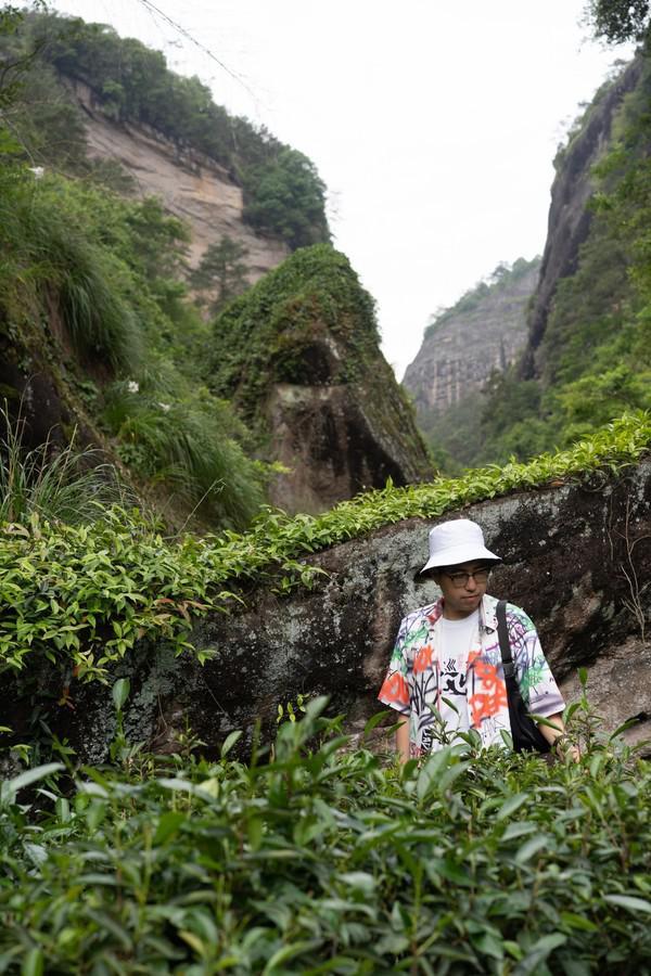 原创在福建武夷山旅游不小心走入了茶叶的世界