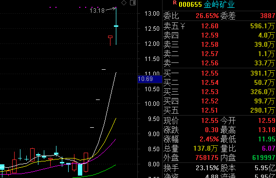 板块核心—金岭矿业