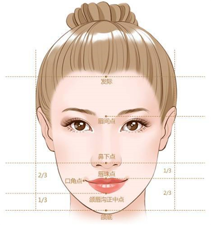 范芳医生谈东方女性面部美学标准_黄金分割