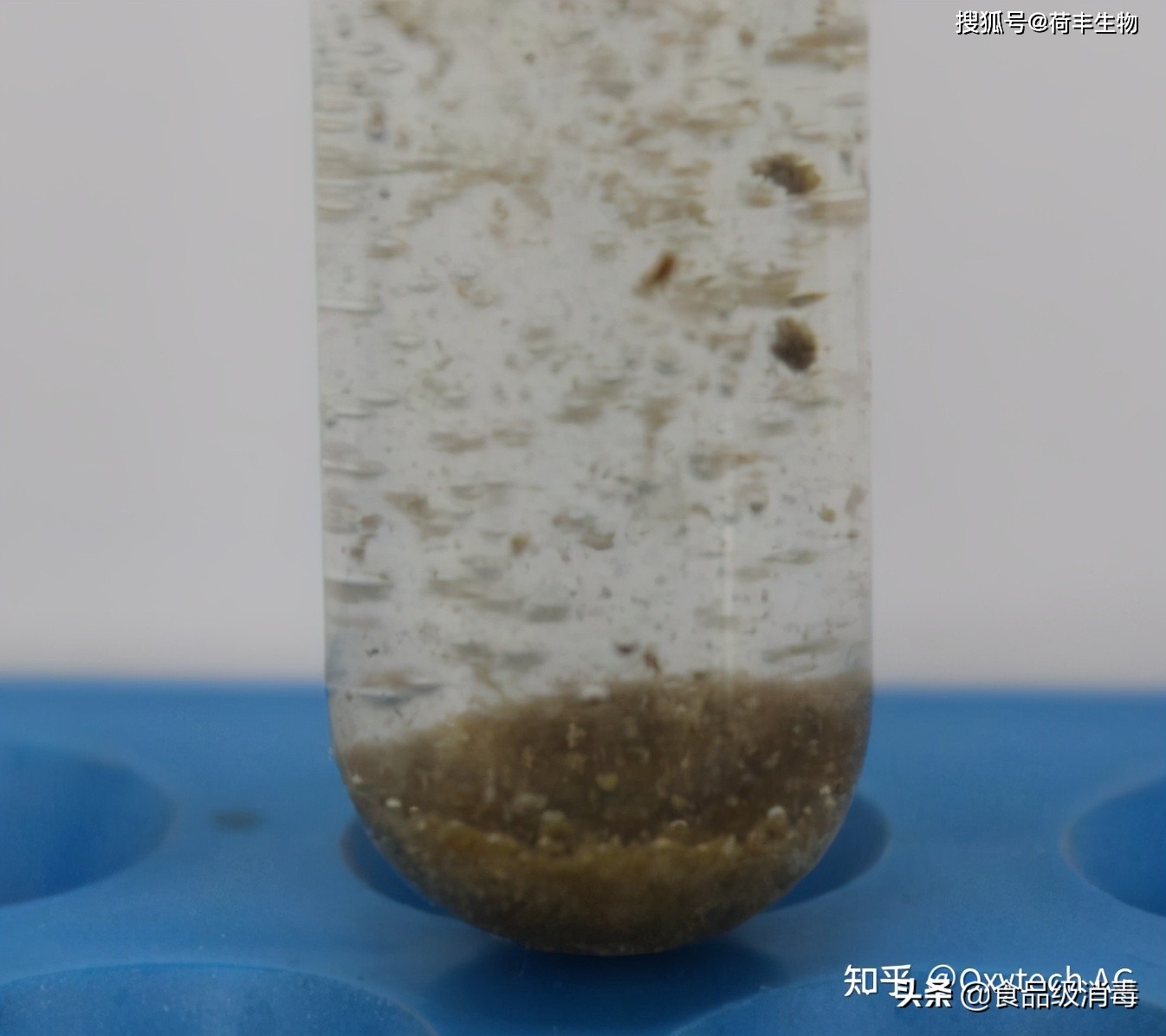 管道生物膜形成的原因和解决方案