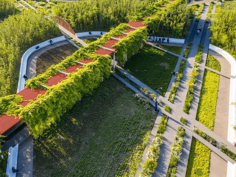 航拍西安雁南公园 花团锦簇大草坪美不胜收