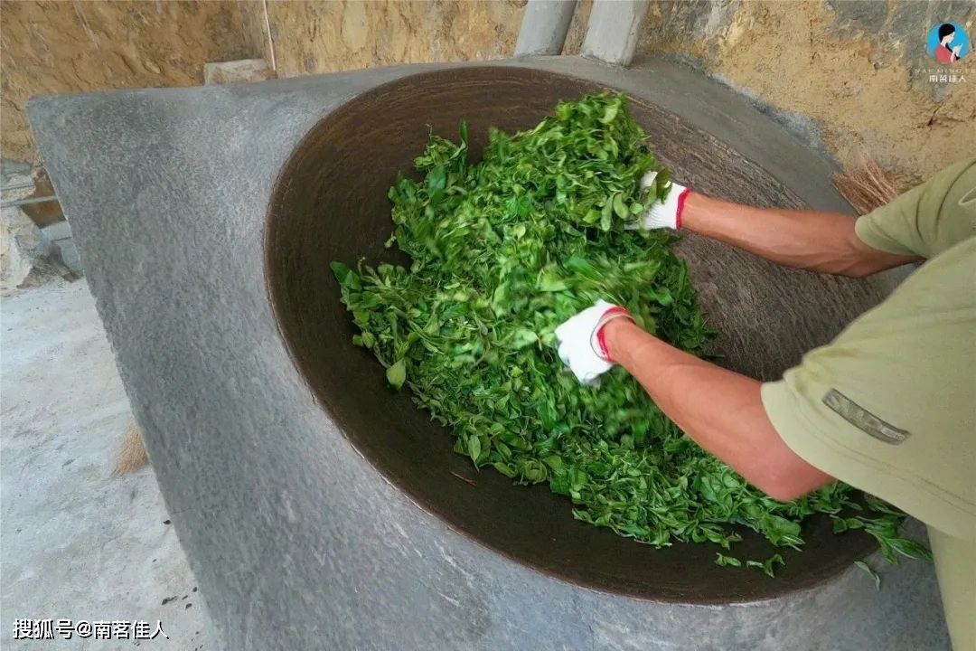 杀青不好,再贵的原料也是浪费!_普洱茶