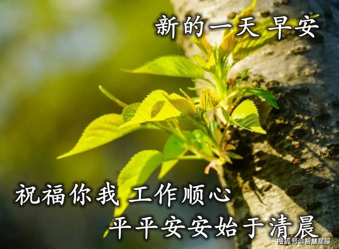 2021年5月21日星期五漂亮早上好问候动态表情图片带字
