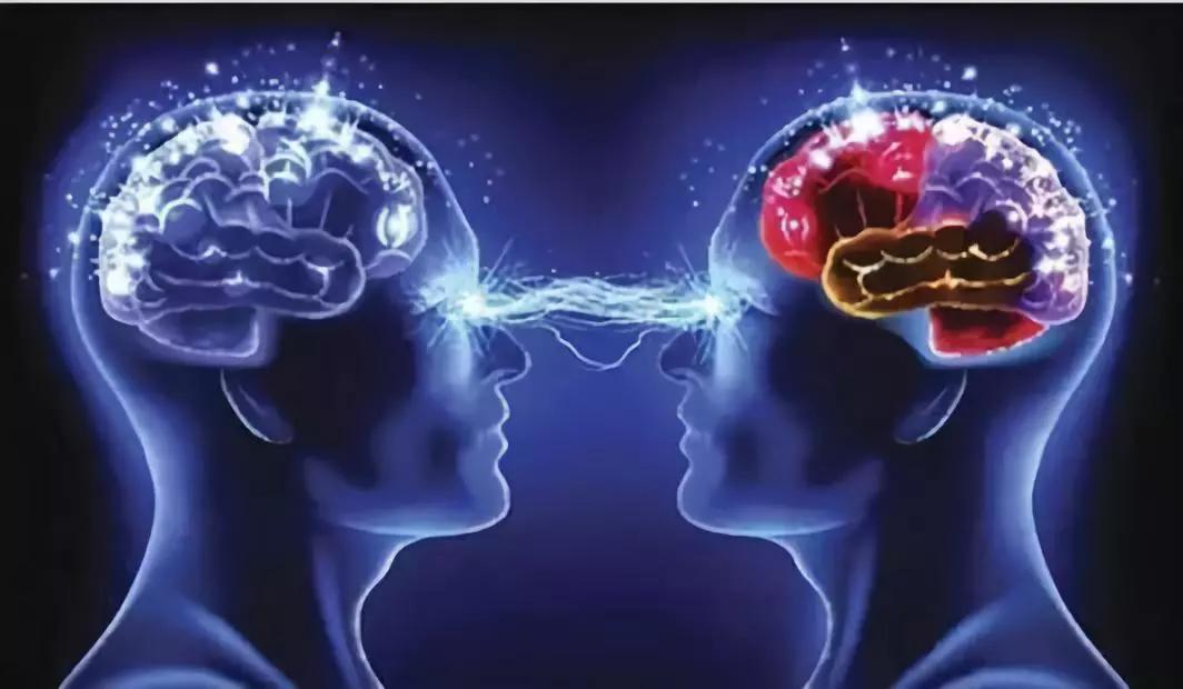皮质脑,即是我们平常在大脑的图片中所看到的,浅灰色的沟壑与褶皱,它