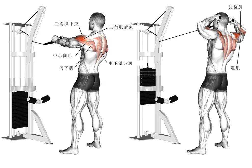 【耀健身】那些经典的肩部训练动作,帮你打造更饱满的三角肌!