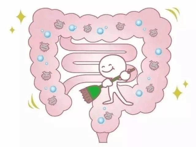 肠道健康日来自肠子的呐喊我很重要不要忽视我