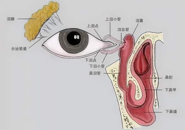 "哭戏"说来就来?这不是演技派,可能是患了泪道病