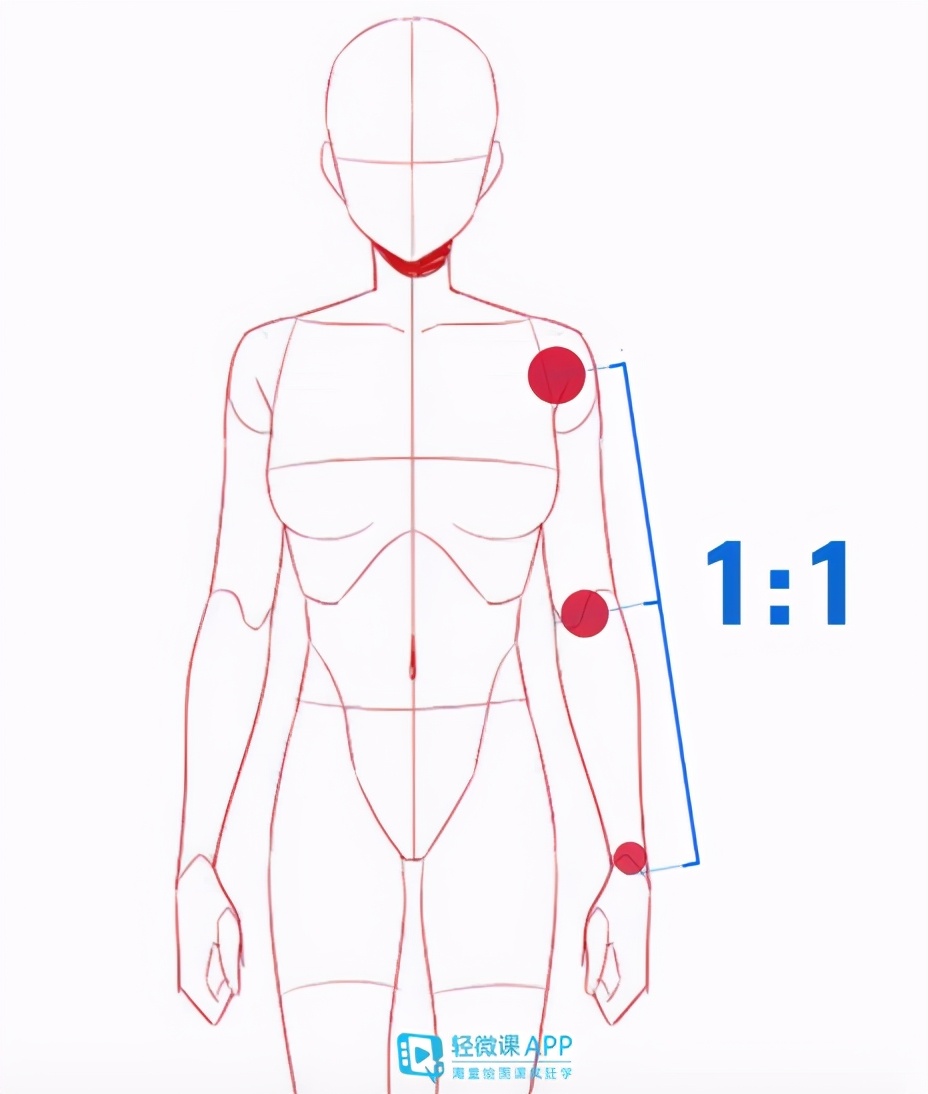 2,手臂自然下垂时手肘的位置正好与肚脐眼的位置平行