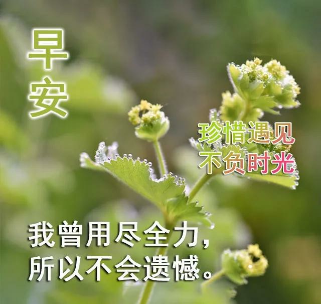 2021年早上好祝福精选词句,祝福短信伴着你,幸福快乐到永远早安