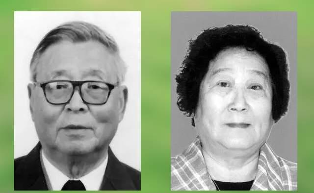 《五朵金花》62年,9位主创9种人生,如今莫梓江82岁,王苏娅83岁