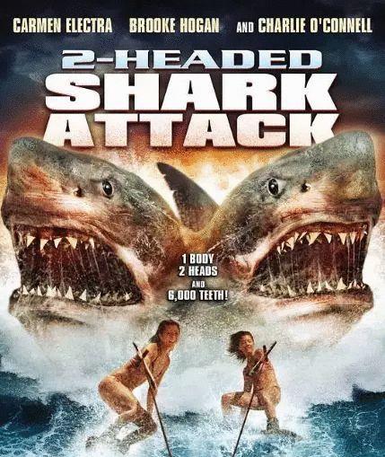 2015年的《三头鲨袭击》,2017年的《夺命五头鲨》.你以为这就完了?