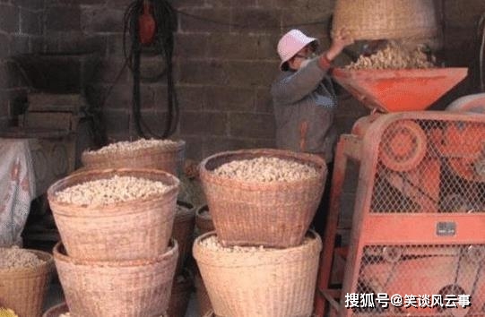 农村油坊压榨花生油,为何只要花生饼渣不收钱?油渣有啥用?