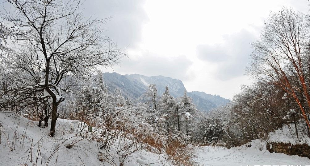 原创陕西最美的雪景在秦岭之内在终南山之巅在你不远之处