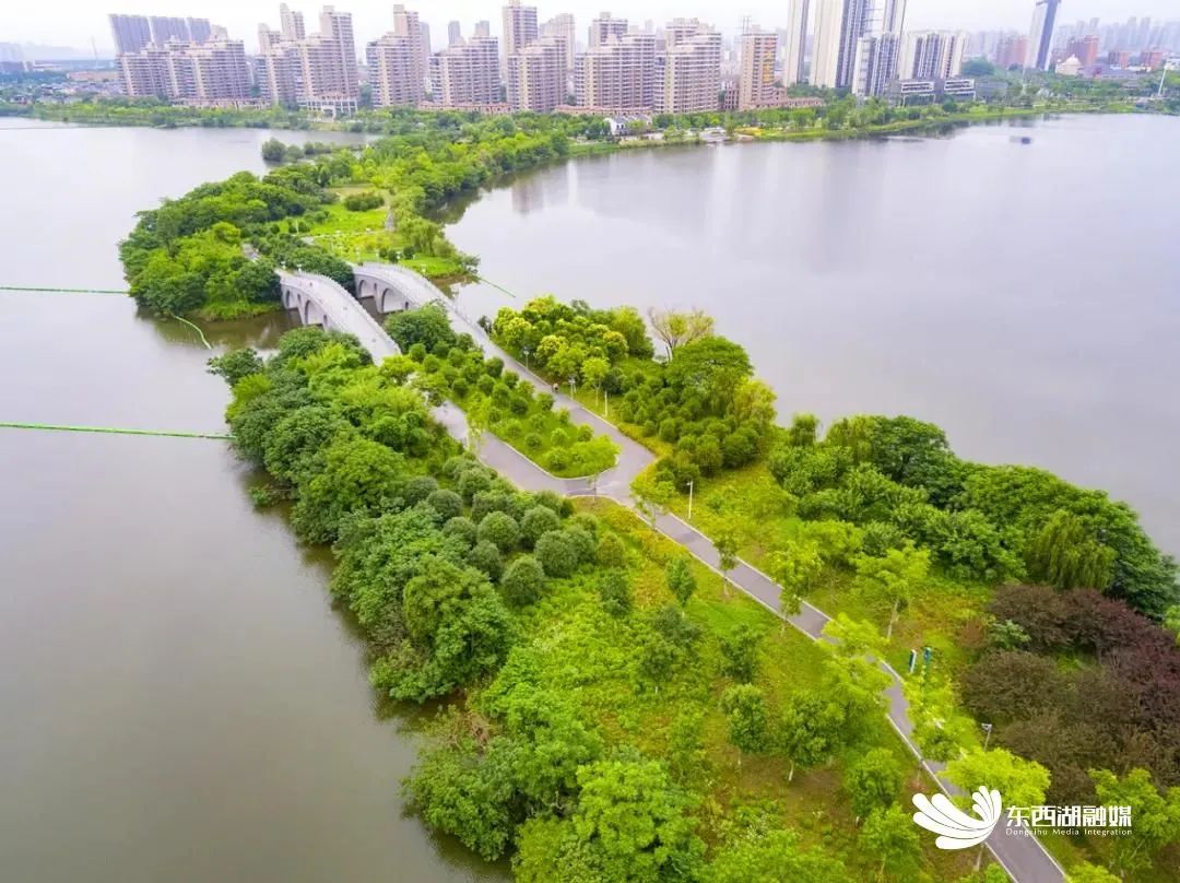 【精致城市·魅力街区】东西湖区金银湖:半城碧水半城