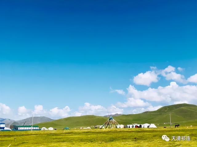 等一个人陪我去祁连大草原跃马扬鞭