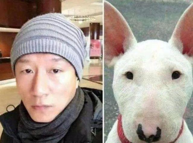 孙红雷款和黄渤款