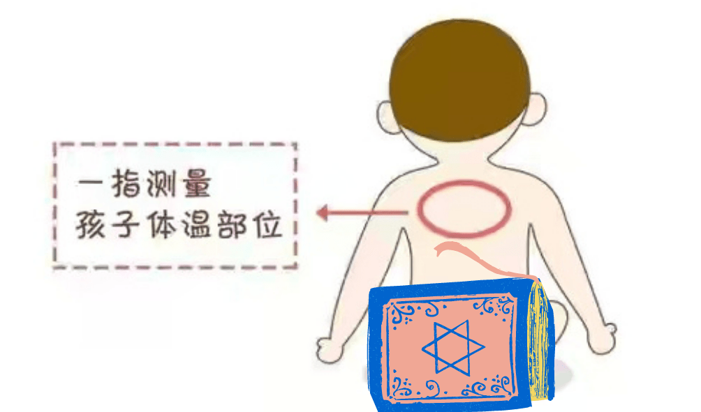 所以, 判断孩子冷热的依据是颈背部,而非手脚,并且以 颈背部温热,手脚