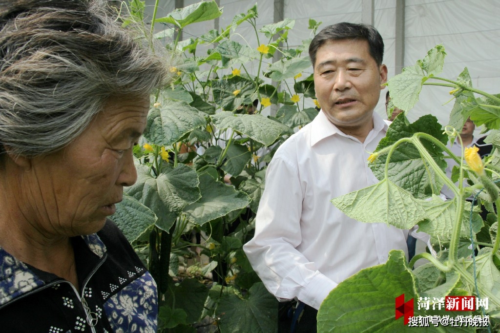 郓城县侯咽集镇八里湾村:一根黄瓜鼓起村民"钱袋子"