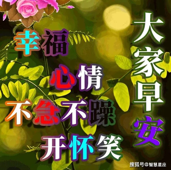 原创6月13日唯美漂亮的早上好图片,蝴蝶非常漂亮的花,honey,早安!