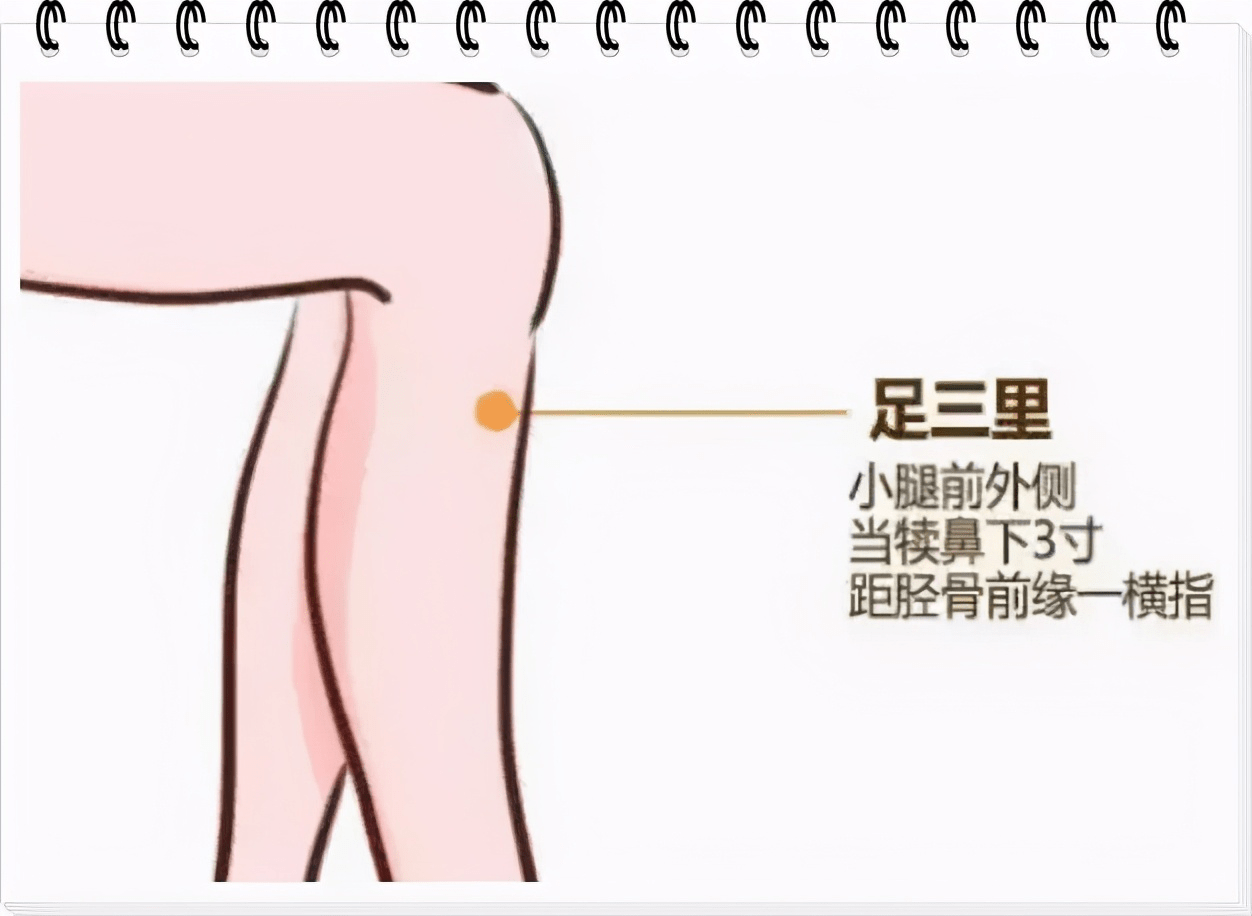 在 足三里, 上巨虚等穴位进行按摩, 每天按摩5分钟, 能够增强胃肠道