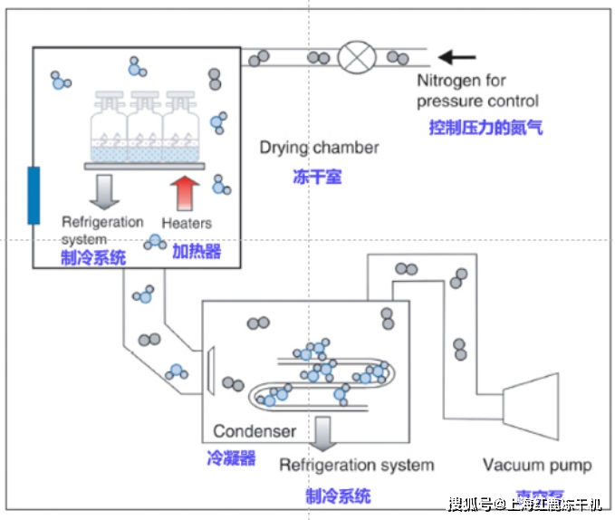 药品冻干过程主要可分为:配制药液→真空冷冻干燥(冻干→密封包装等