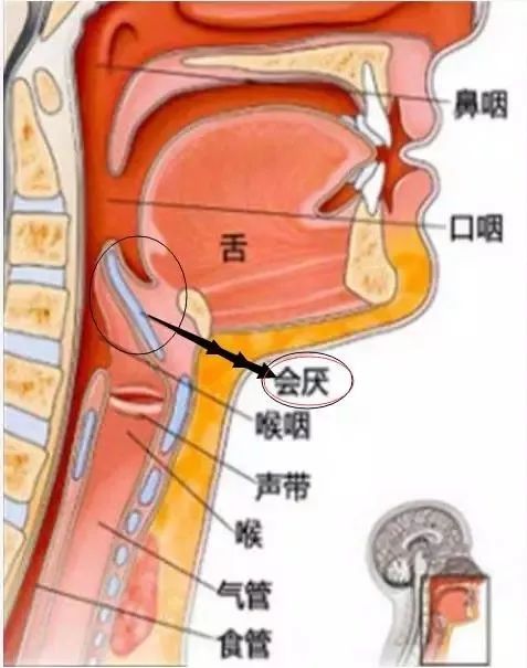 其中包括利用更强的来自肺内的空气流动,控制声带,然后产生大量高频率