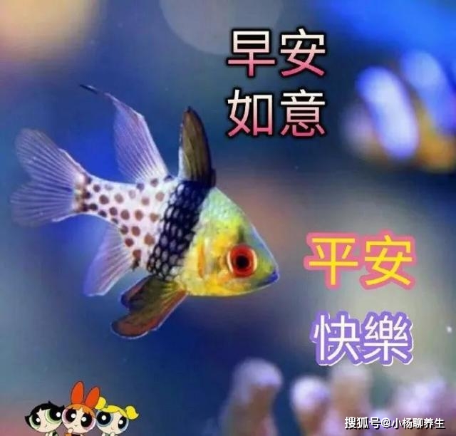 特温馨周五早上好问候图片,适合发朋友圈,祝你百事可乐