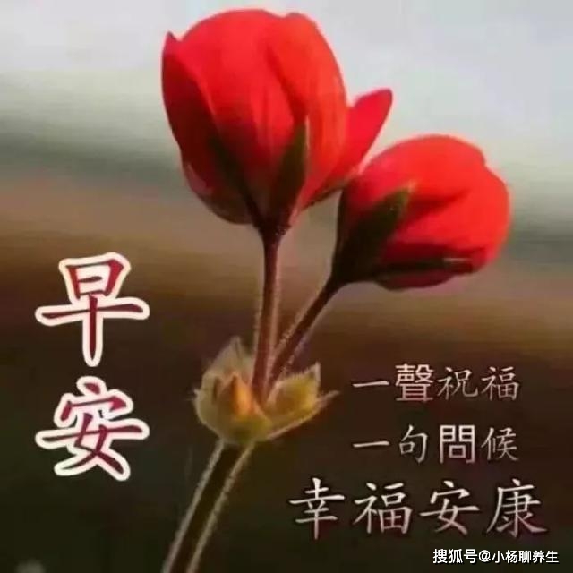 原创最经典美丽的早安问候祝福语,祝你今天有个好心情