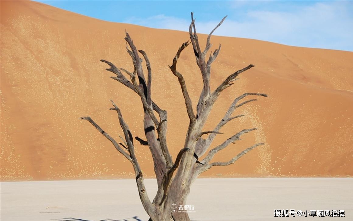 原创非洲最古老的沙漠:寸草不生却拥有大量动植物,困扰了无数专家
