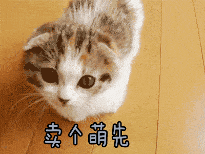 金牛座明日运势普通,认认真真的态度必须要有,随随便便的态度要小心.