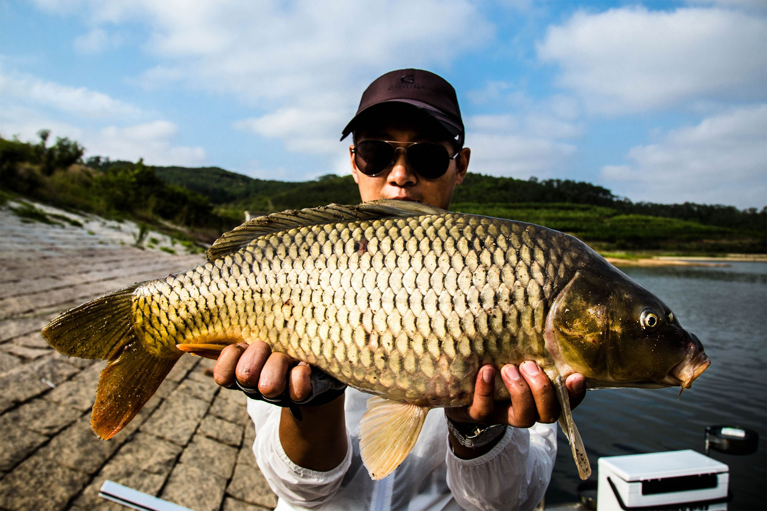 夏天野钓大鲤鱼很有效的