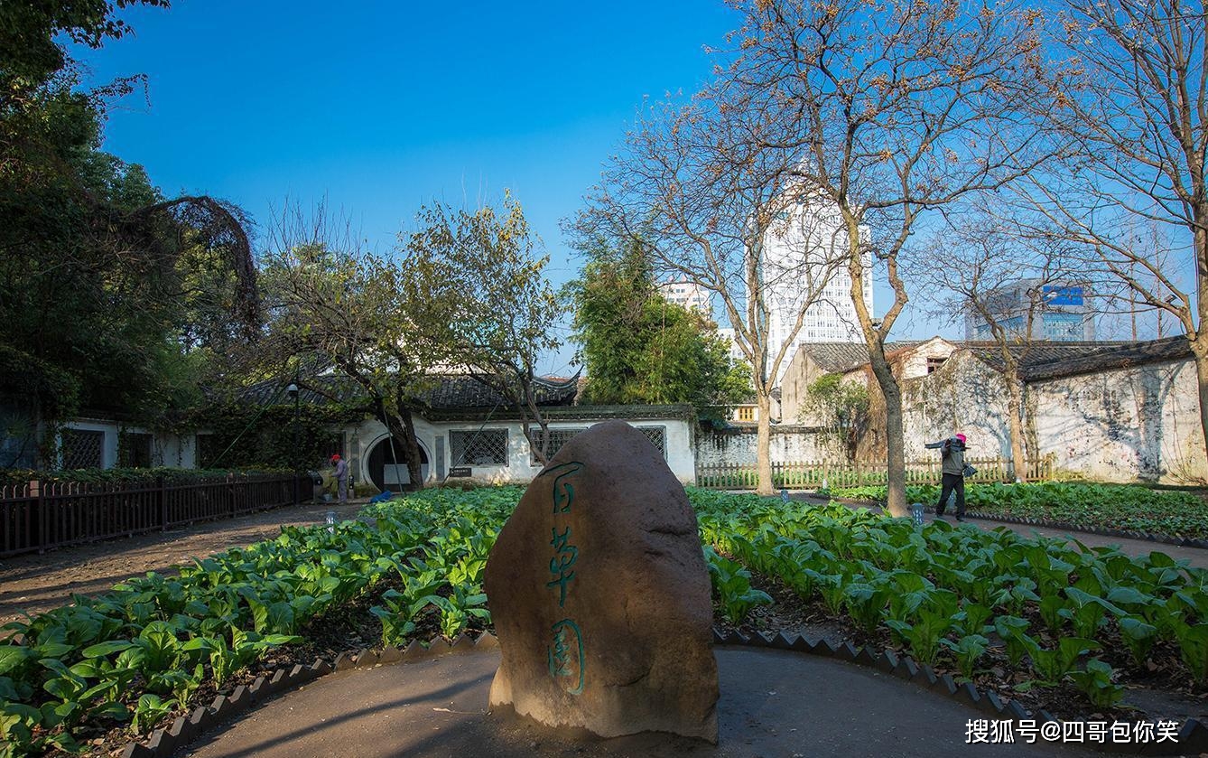 鲁迅小说中神奇的百草园,原来只是个菜园子,日韩游客却非常喜欢