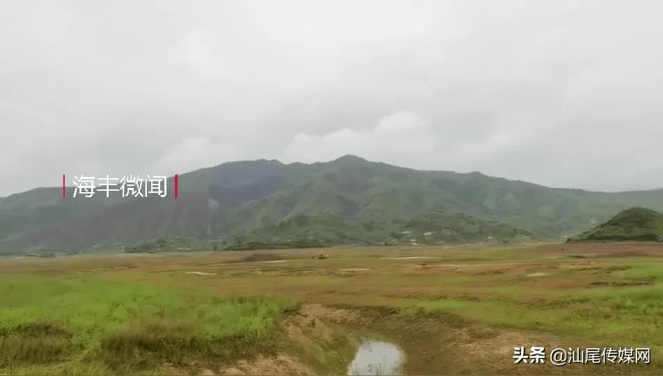 青年水库这幅景,实在令人忧 在我的印象之中,海丰从未像今年如此缺水