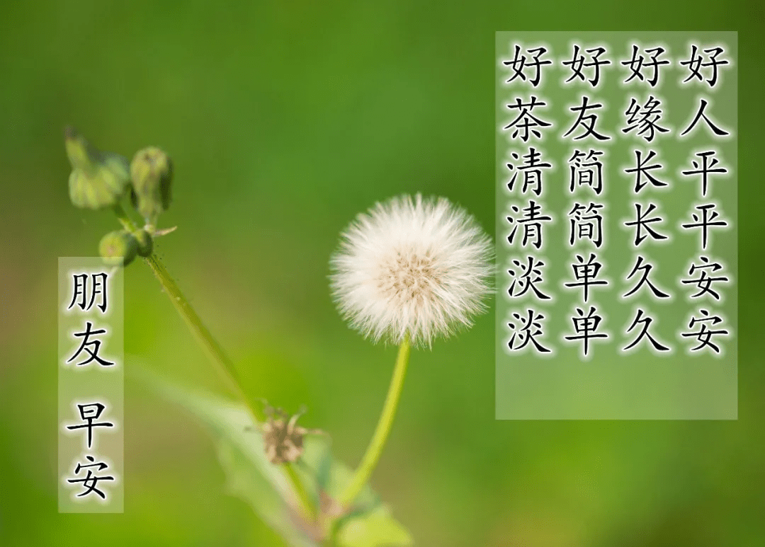 原创简单暖心的早安问候语录 充满阳光的早上好祝福图片