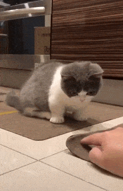 248_384 竖版 竖屏