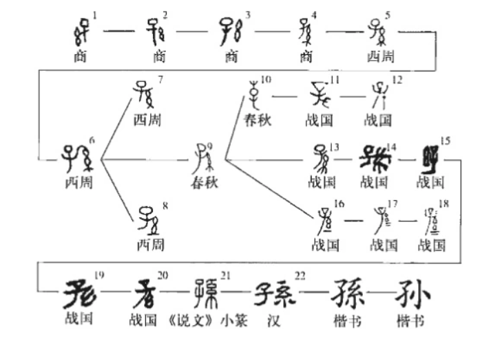 甲骨文揭示黄帝不可能姓公孙应为春秋战国文人杜撰