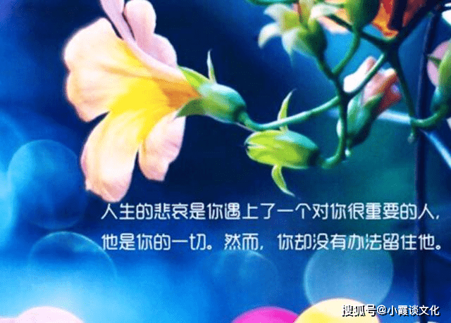 2021最美励志心语,独特个性,经典至极