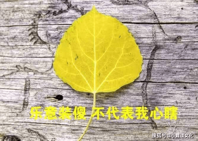 朋友圈最流行的心情说说,唯美舒心,让人一看就喜欢