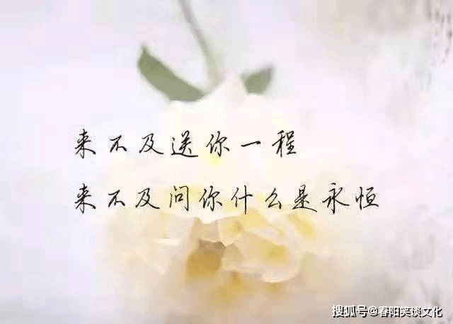 午夜发心情不好的说说,伤感无奈,送给失眠的你_一个人