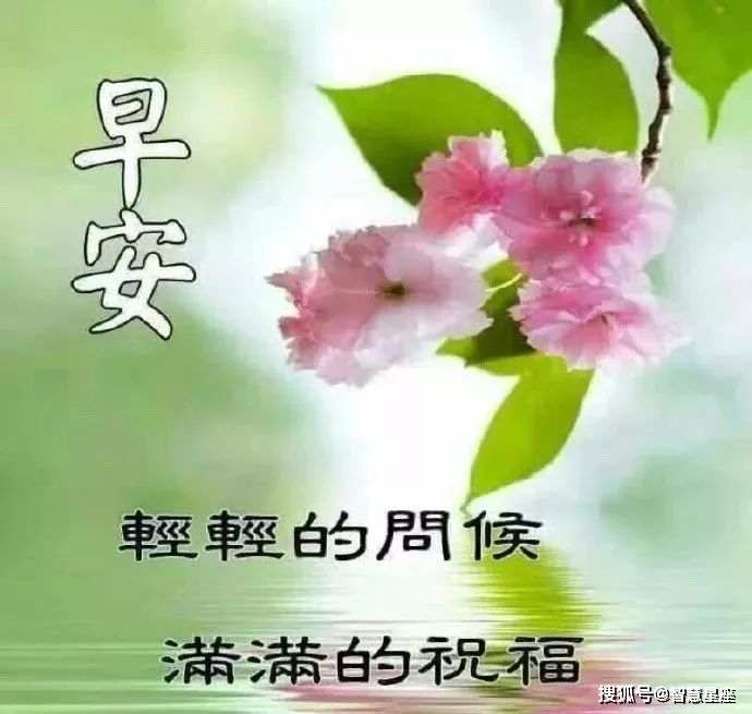 早安温馨祝福句子送大家很好看的早安图片动态美图,早安温馨祝福句子