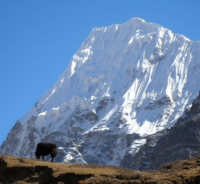 世界第三高峰,干城章嘉峰!