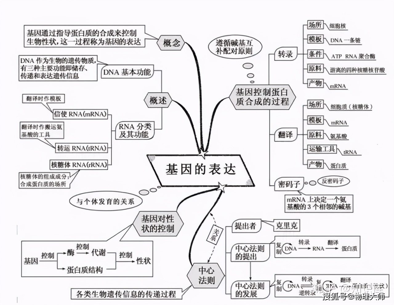 高中生物思维导图来袭抢先一步先预习