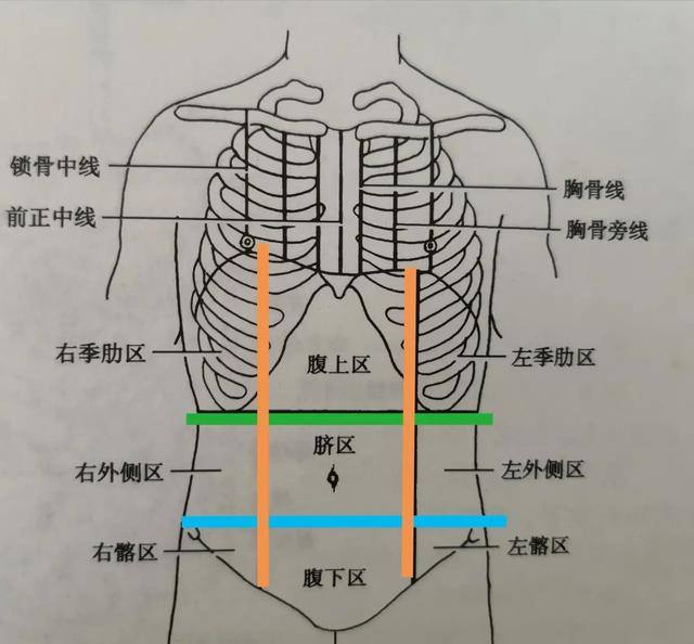 我们腹部一整块的就被分成了"九块",分别为 左季肋部(左上腹部),右