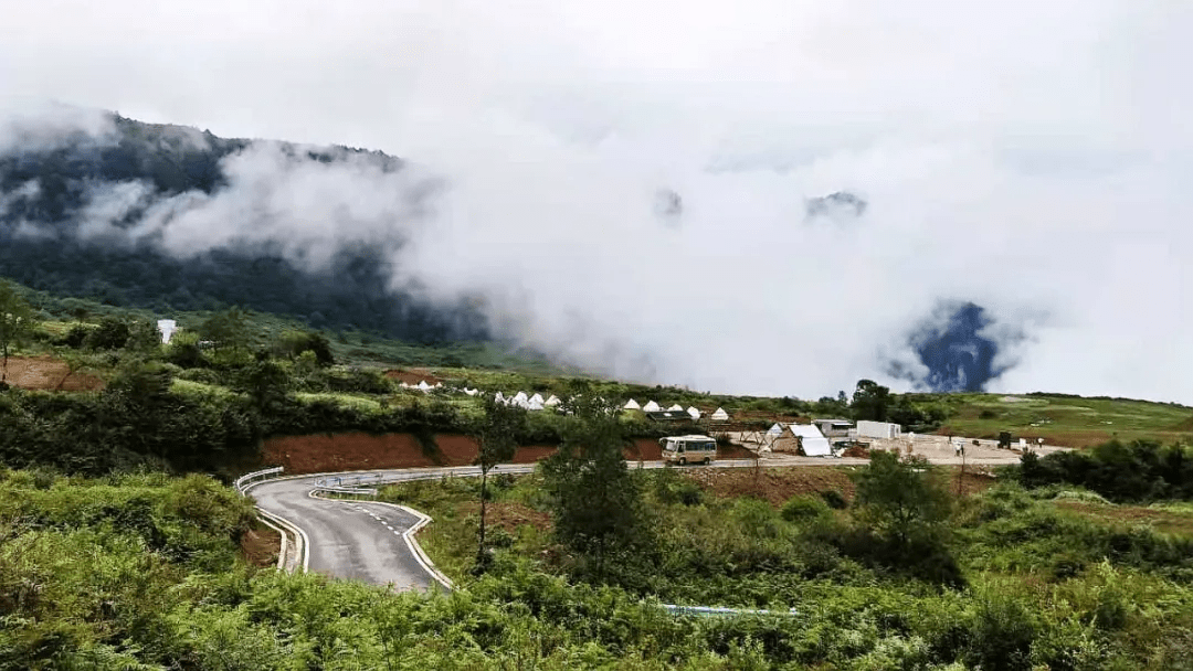 避暑指南 | 王岗坪景区"夏日森系"来袭