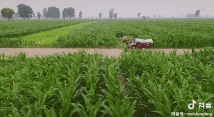 原创抖音逆袭大女主!她开着拖拉机拍视频,圈粉700w逆袭人生!