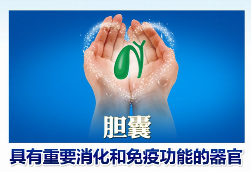 聚焦保胆:学术大会大咖云集,共话微创保胆新时代!